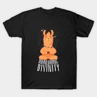 Zen Llama: Downloading Divinity Tee T-Shirt